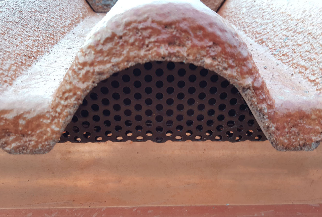 Griglia parapasseri