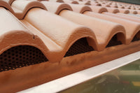 Griglia parapasseri