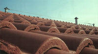 Linea vita